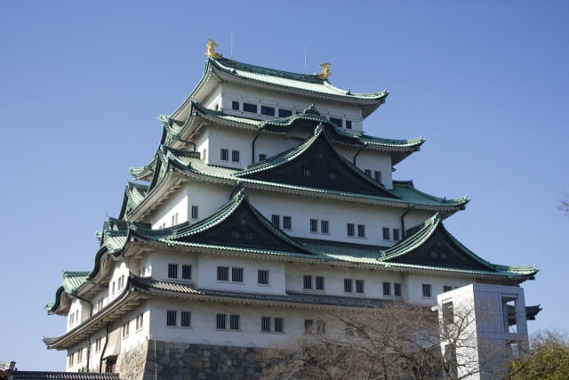 東海